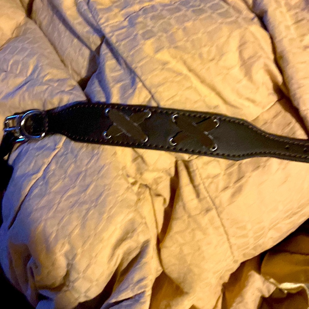 New Bret, Michaels, dog collar